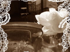 薔薇の静景