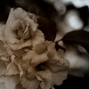 classical