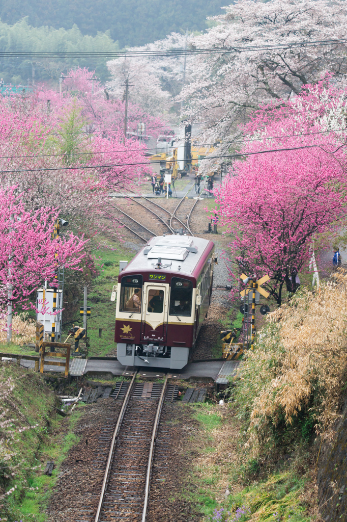 花の駅へ