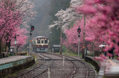 雨の神戸駅