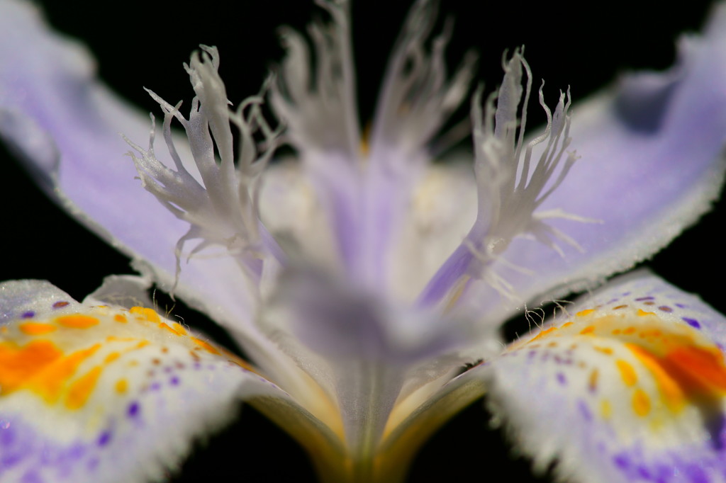 Symmetry