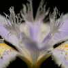 Symmetry