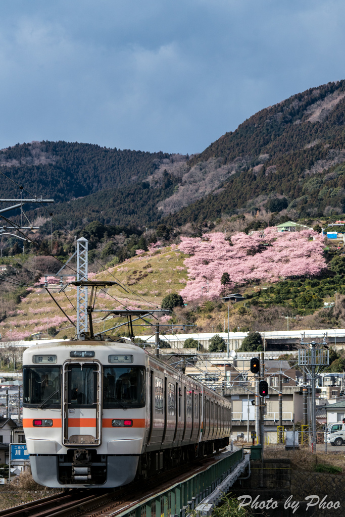 春色電車 2