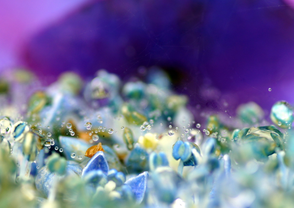 Splash!