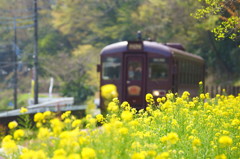 花の駅