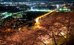 桜と夜景2