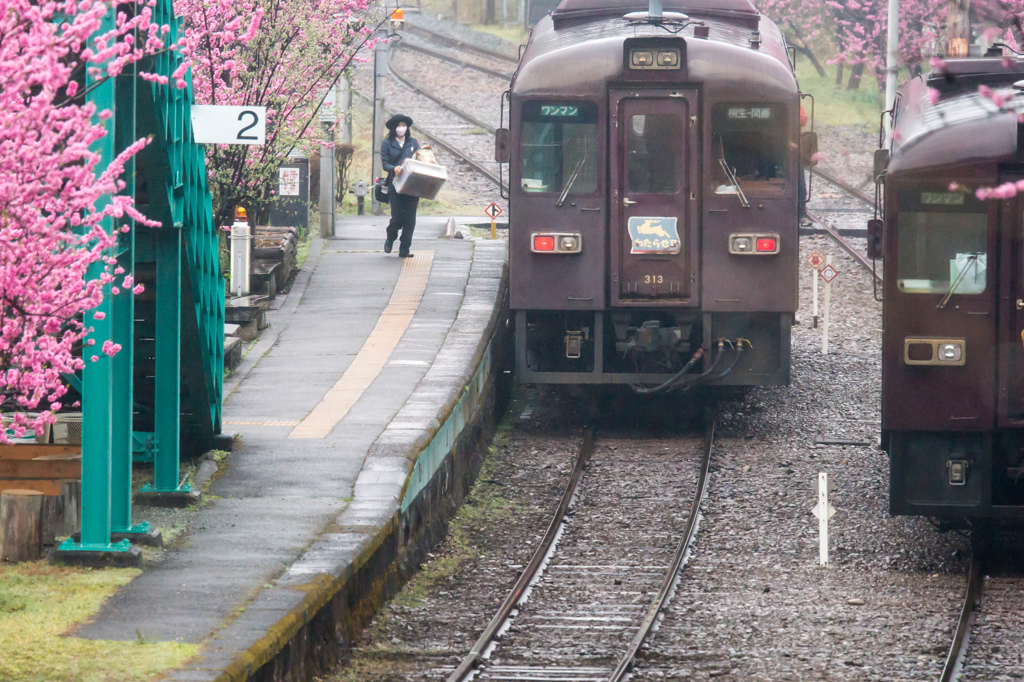 雨の中