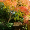 杉本寺