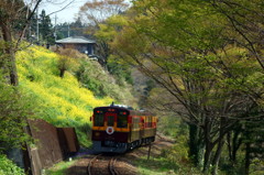 列車来ちゃった