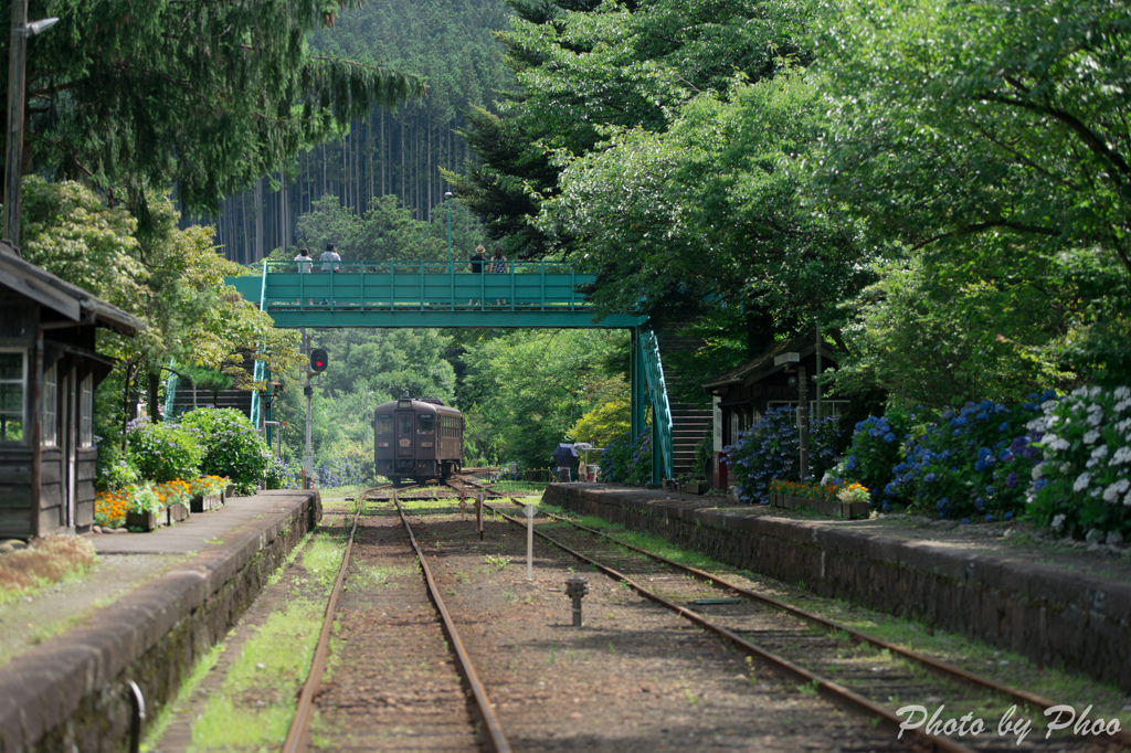 夏の沢入駅