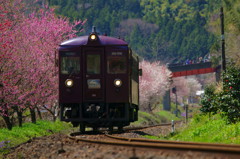 初めての鉄撮り