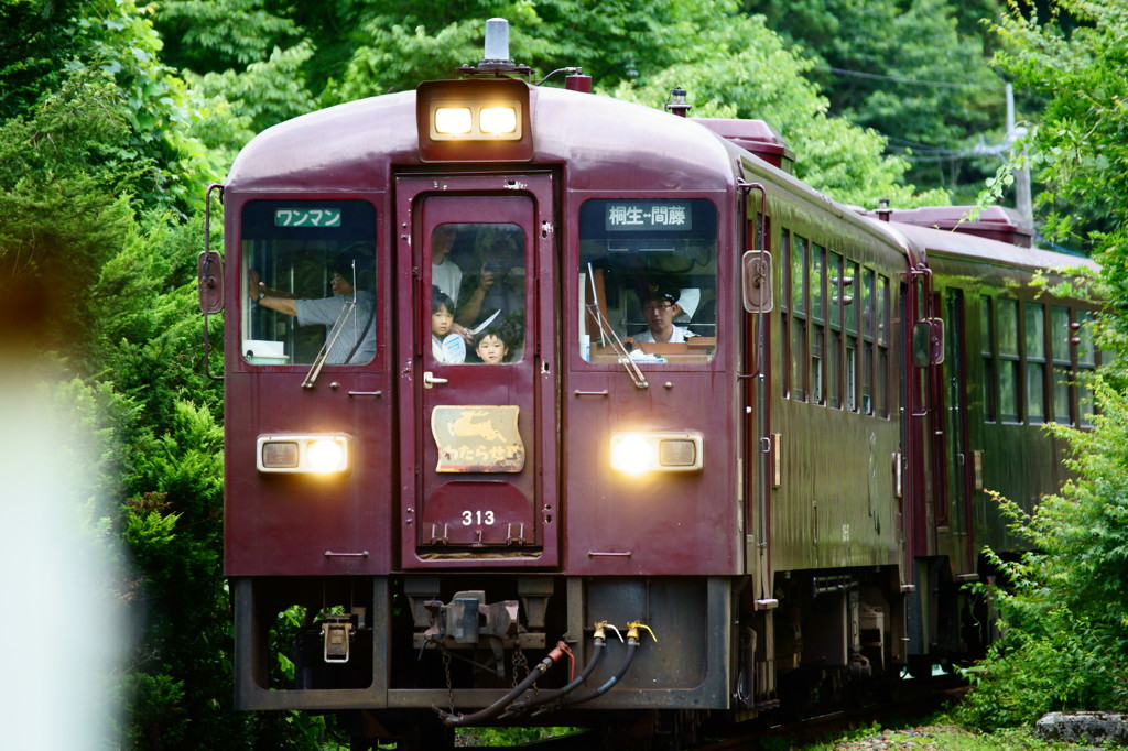 沢入へ