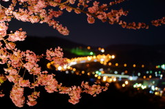 桜と東名