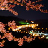 桜と東名