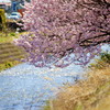 春の小川