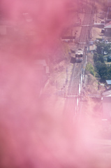 春色電車2