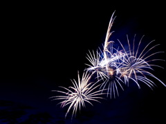 夜空の大輪