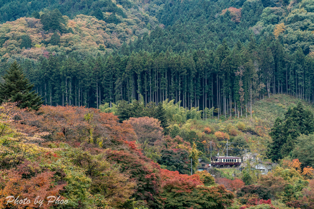 山間を行く