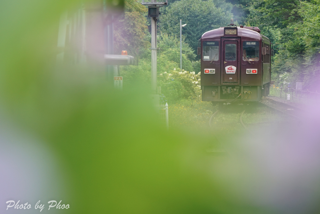 アジサイの駅