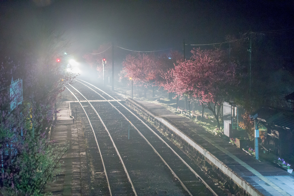 霧の駅