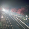 霧の駅