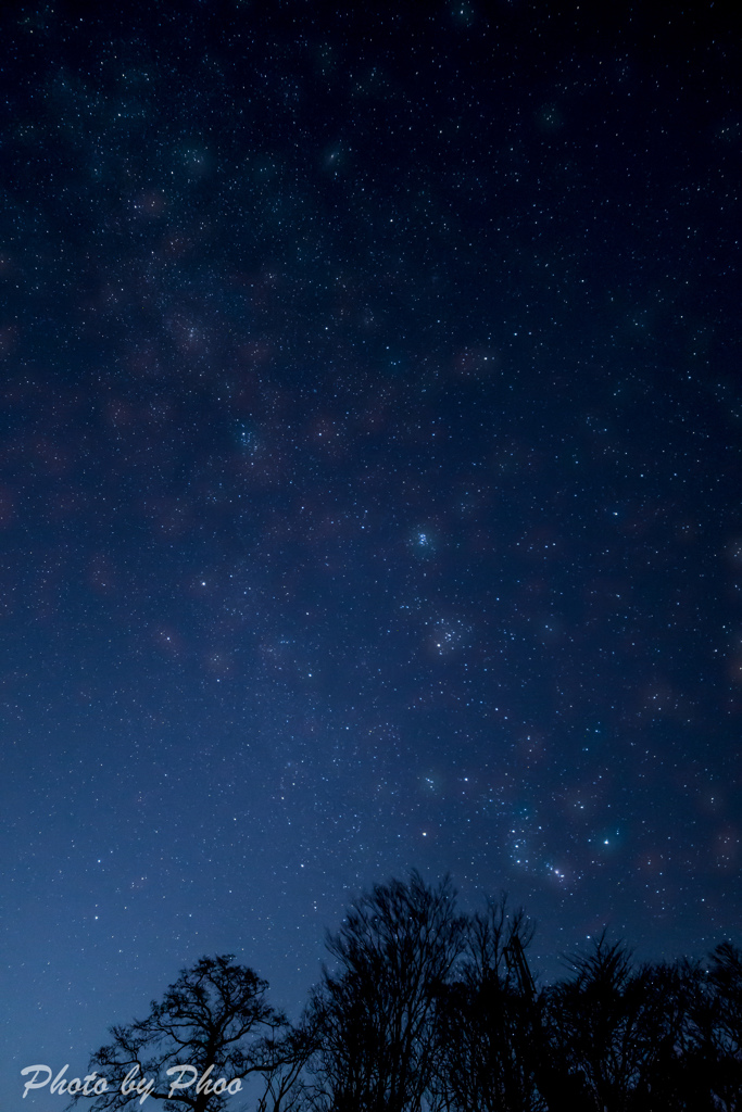 星降る夜に