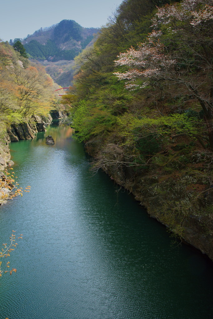 渡良瀬川の風景1
