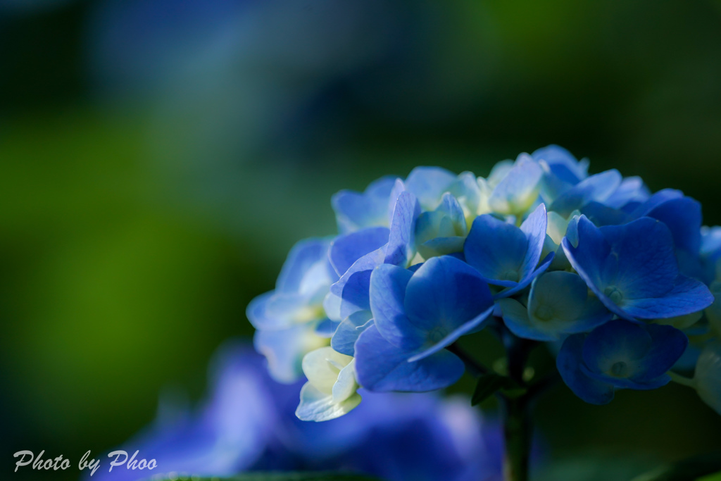 Color of SOURI 2