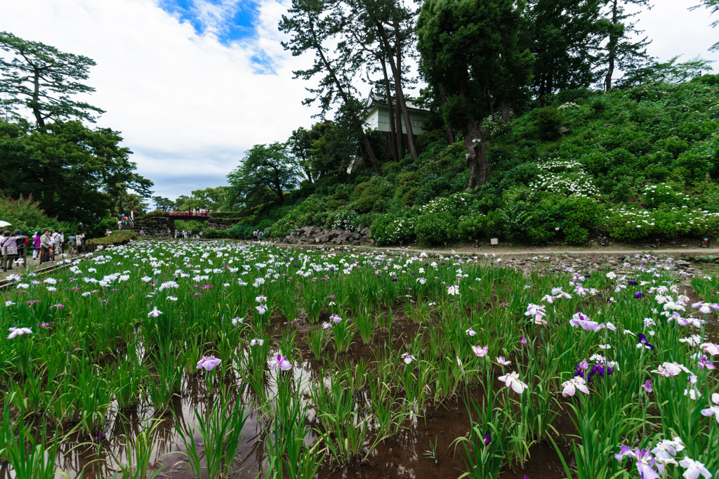 小田原城