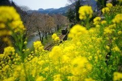 春色渓谷