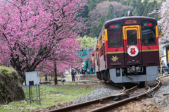 花の駅へ