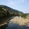 渡良瀬川の風景2