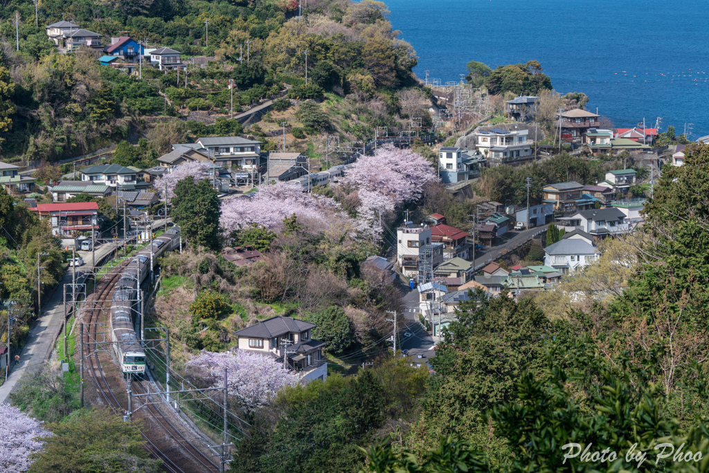 春を走る