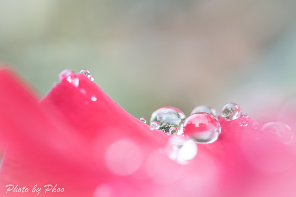 雨の愉しみ01