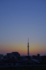 春の夕景