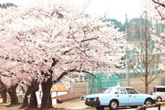 車の色は空の色