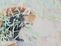 P2071205
