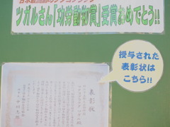 P2071133