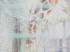 P2071142