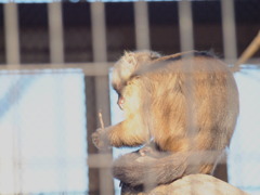 P2071123