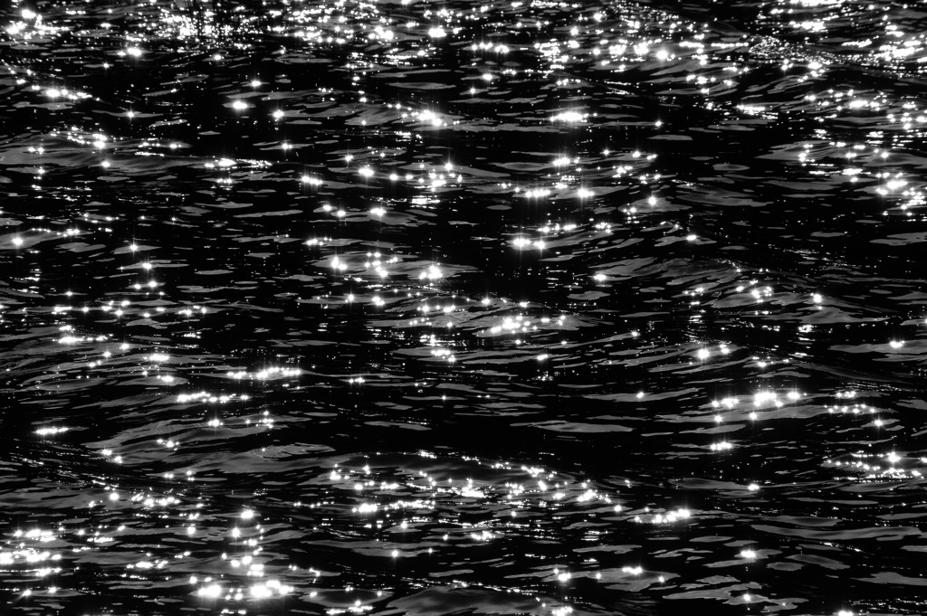 湖面に落ちた星