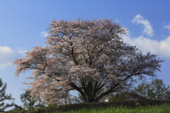 朝の風に吹かれて