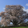 朝の風に吹かれて