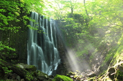 朝の光を受けて