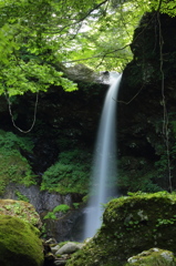 盛夏の滝