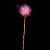 夜に咲く小さな花