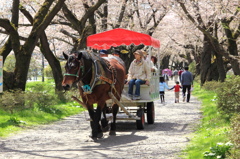 お馬がカッポカッポ