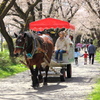 お馬がカッポカッポ