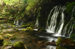 元滝伏流水