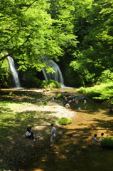 家族たちの夏